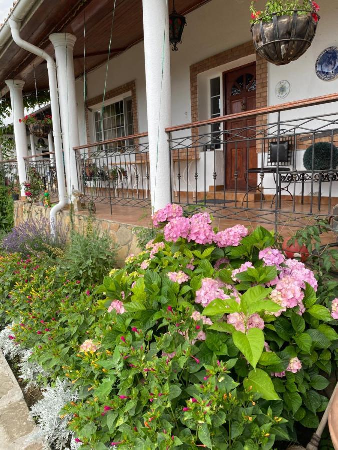 Country Club La Mesteceni Sebes  Luaran gambar